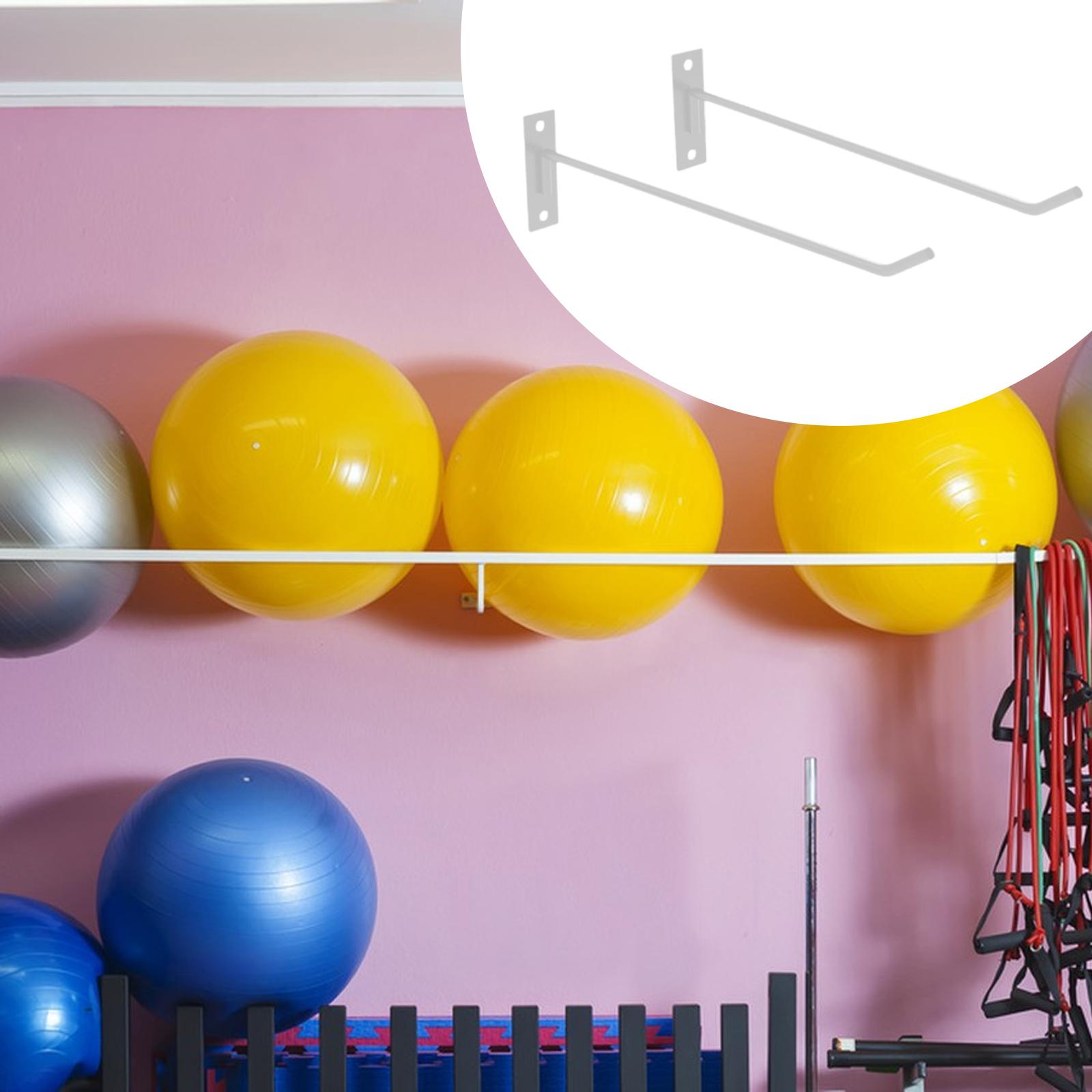 Exercise Ball Holder Space Sav - Bosu Ball Balance ulasan dan harga